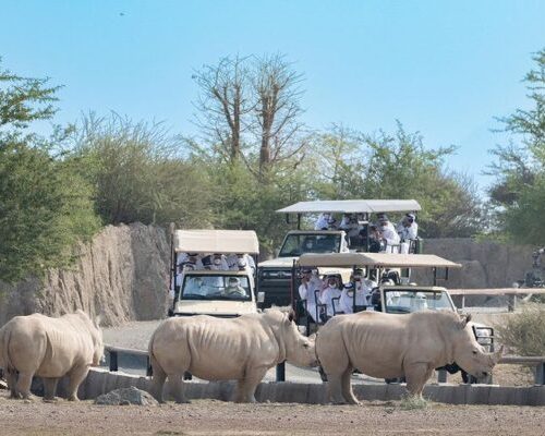 safari park al dhaid